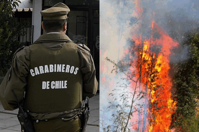Detienen a mujer por provocar incendio en Traiguén: Consumió 50 hectáreas y amenazó viviendas colindantes