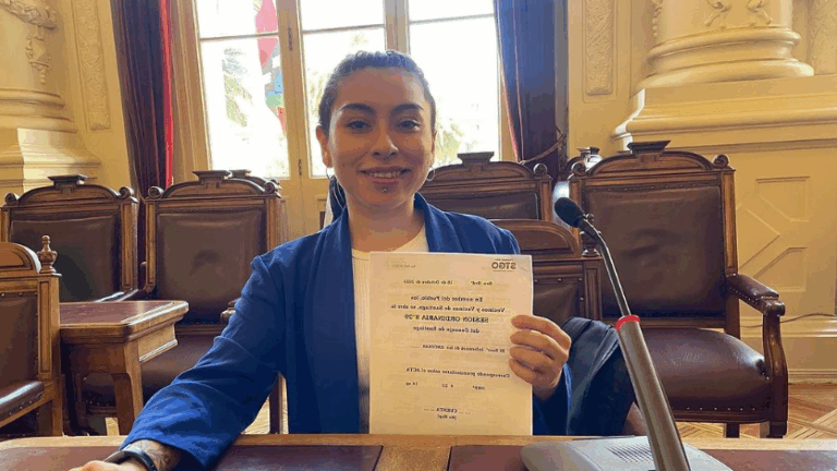 Concejala de Santiago fue denunciada por vender entradas de cortesía de Fantasilandia