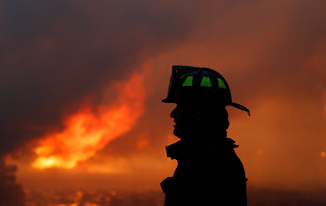Decretan alerta roja en Constitución por incendio forestal: Siniestro ha consumido 8 hectáreas