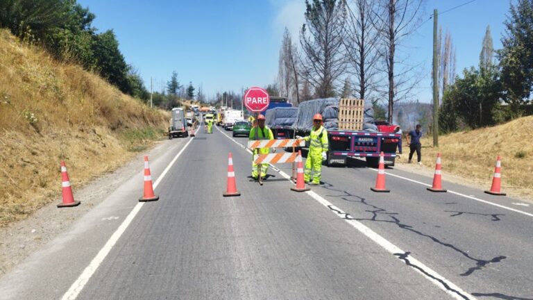 Trágica colisión en Ruta de la Madera: Dos muertos y un incendio forestal dejó choque frontal de camiones