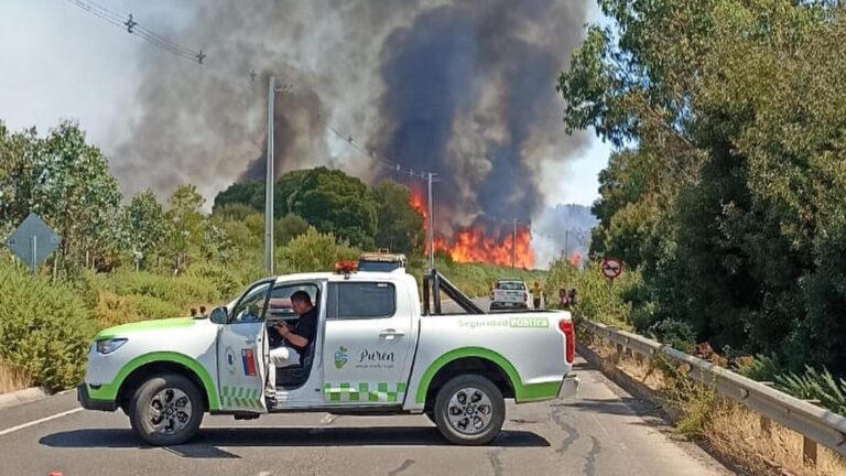 Senapred solicita evacuar dos sectores en la comuna de Purén por incendio forestal