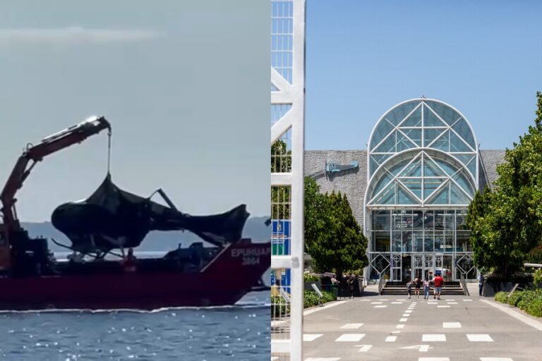 Fiscalía concurre a la DGAC para evaluar peritajes al helicóptero de Piñera: Investigación podría tardar de 8 a 10 meses