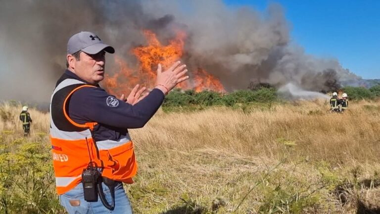 Declaran alerta roja en Puerto Montt por incendio forestal que presenta comportamiento extremo y avance rápido