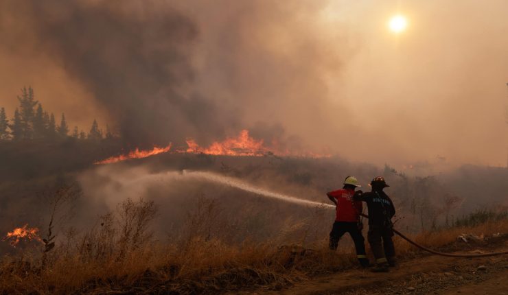 Hay 49 imputados por incendios forestales en 2024 a lo largo de Chile: En Región de Valparaíso son 3