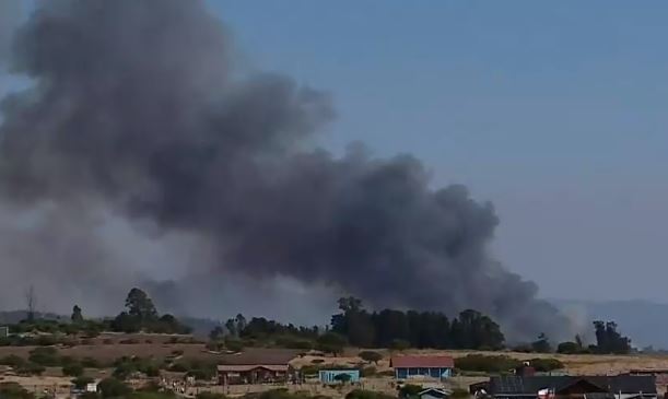 Incendios forestales en Navidad y La Estrella continúan en combate: Más de 1.400 hectáreas consumidas