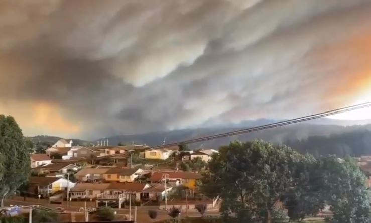 Incendios forestales: Gobierno decreta toque de queda en Limache, Quilpué, Villa Alemana y Viña del Mar