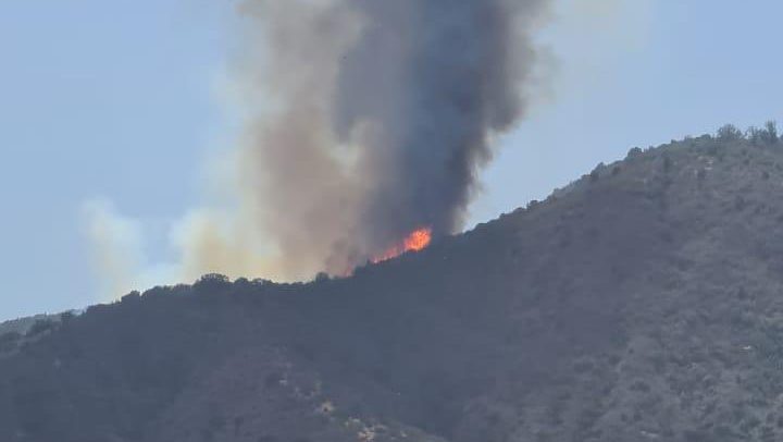 Incendio forestal de gran intensidad afecta a Casablanca: Siniestro se registra cerca del santuario de Lo Vásquez