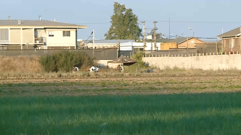 Investigan hallazgo de torso humano en una parcela de Maipú: Fue encontrado en canal de regadío