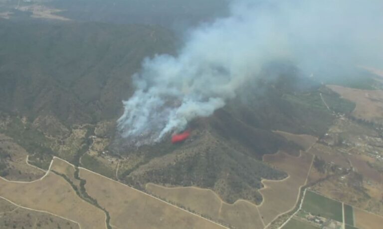 Confirman que incendio forestal de gran intensidad en Casablanca fue controlado