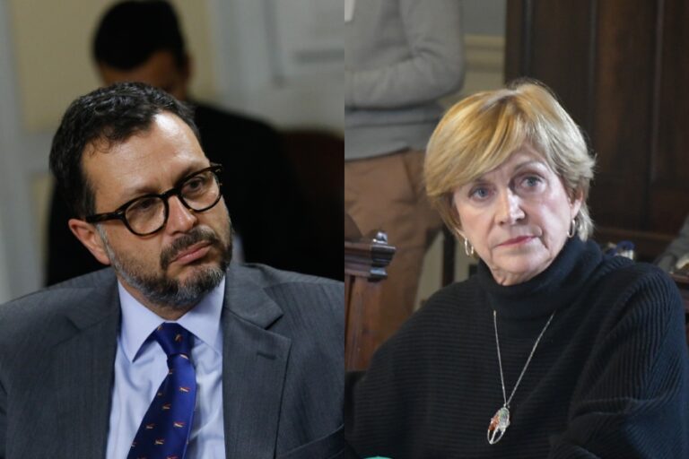 Rodrigo Hinzpeter: Evelyn Matthei 