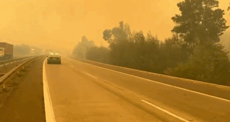 Disponen corte total en la Ruta 68 por incendio forestal cerca a la Reserva Forestal Lago Peñuelas