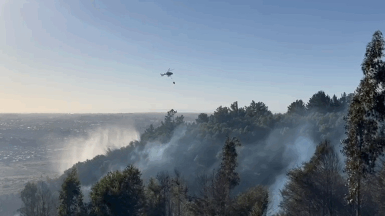 Declaran Alerta Roja para la comuna de Temuco por incendio forestal: Hay dos detenidos