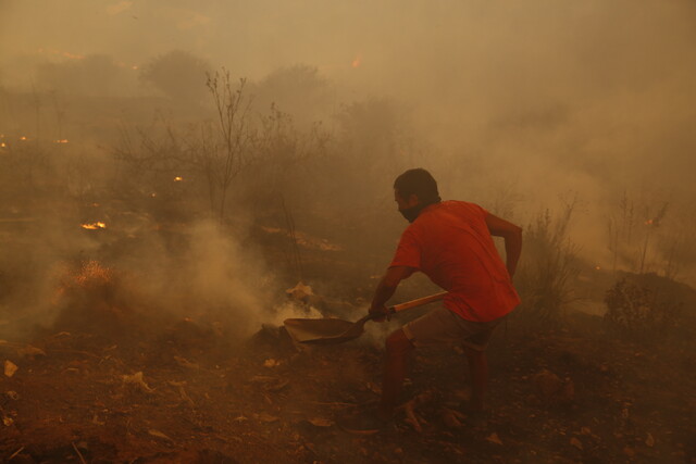Ministerio de Salud decretó alerta sanitaria para la Región de Valparaíso por 