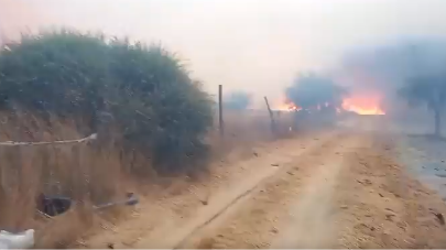 Declaran alerta roja en San Pedro por incendio forestal que tendría 