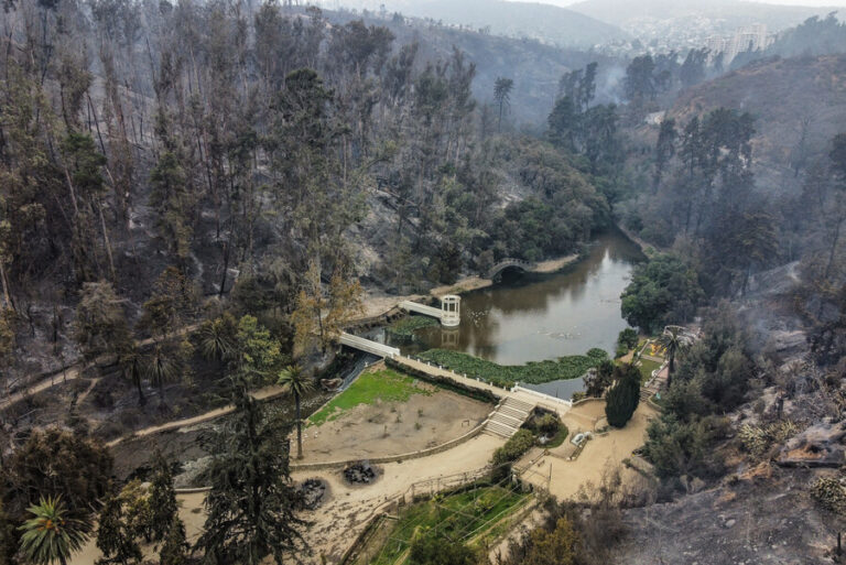 Tras quema total: Jardín Botánico de Viña del Mar tardaría dos años en restaurarse