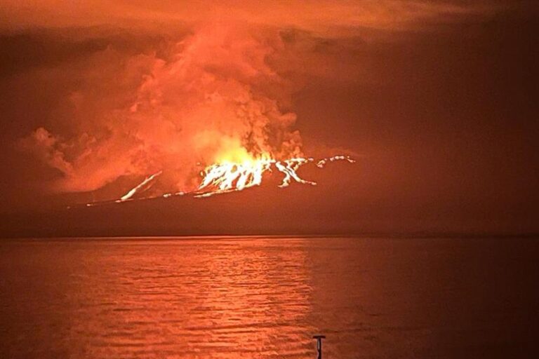 ¿La erupción en Islas Galápagos representa un peligro para el turismo?