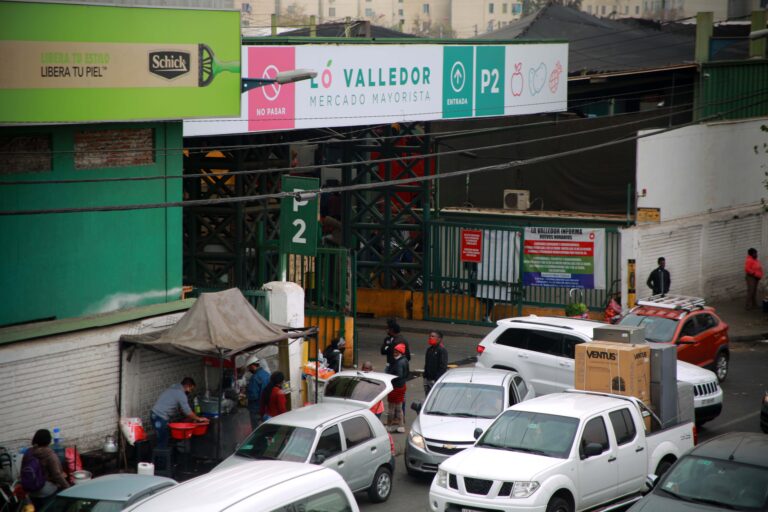Mercado Lo Valledor no permitirá ingreso al recinto sin carnet de identidad chileno