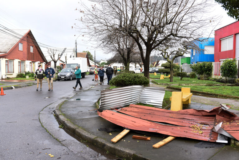 Rachas de viento de hasta 90 km/h: Senapred declara alerta preventiva en tres regiones de la zona sur