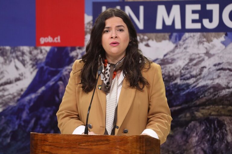 Ministra Orellana por asalto que terminó con un aborto espontáneo en La Florida: 