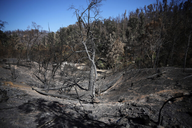Murió segundo trabajador de Jardín Botánico por graves quemaduras sufridas en el incendio de febrero