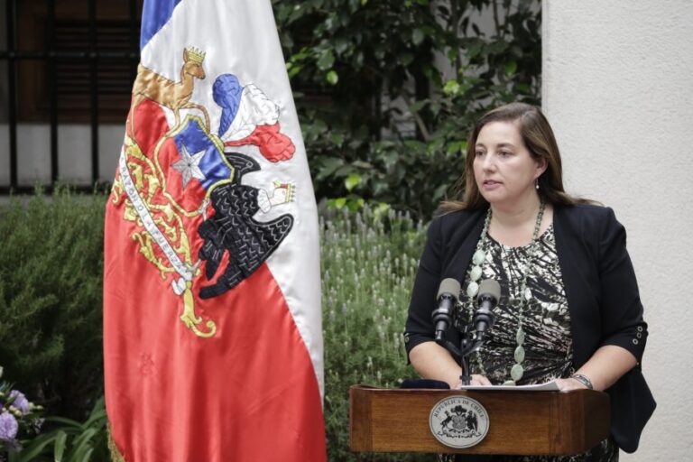 Paulina Vodanovic asegura que acuerdo del Senado fue 