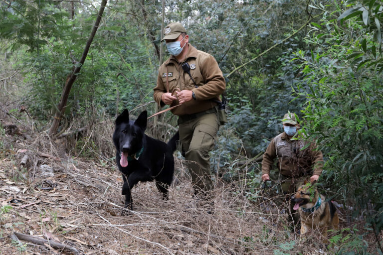 Hallan vivos a cuatro jóvenes extraviados en Petorca desde el domingo