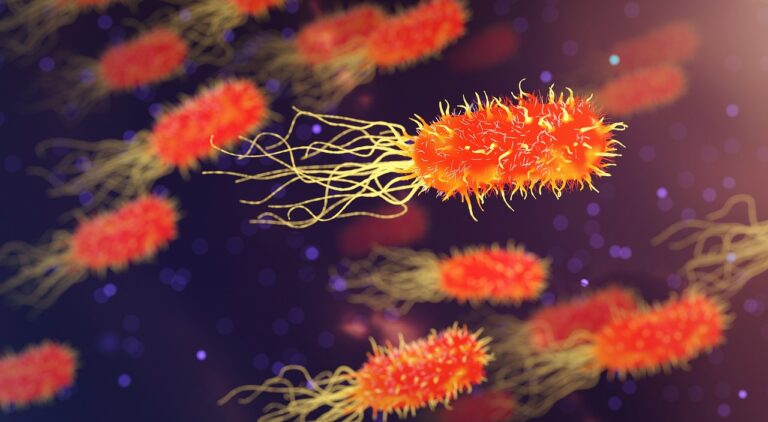 “Enfermedad carnívora”: Detalles de la poco frecuente, pero grave bacteria que prolifera en Japón y alerta a las autoridades