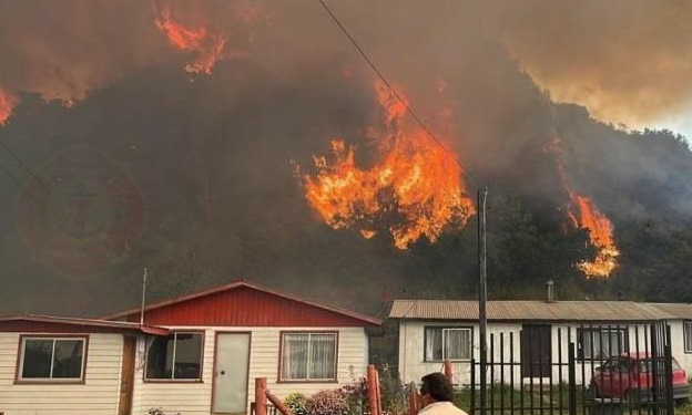 Incendio forestal en Talcahuano ha consumido 1,5 hectáreas de matorrales y plantaciones de eucaliptus