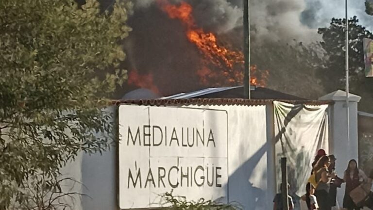 Incendio en medio de fiesta de la Vendimia en Marchigüe: Locales fueron afectados por las llamas