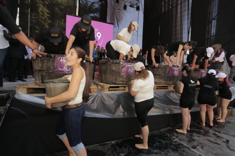 Fiesta de la Vendimia en Isla de Maipo: ¿Cuándo y dónde se realizará?