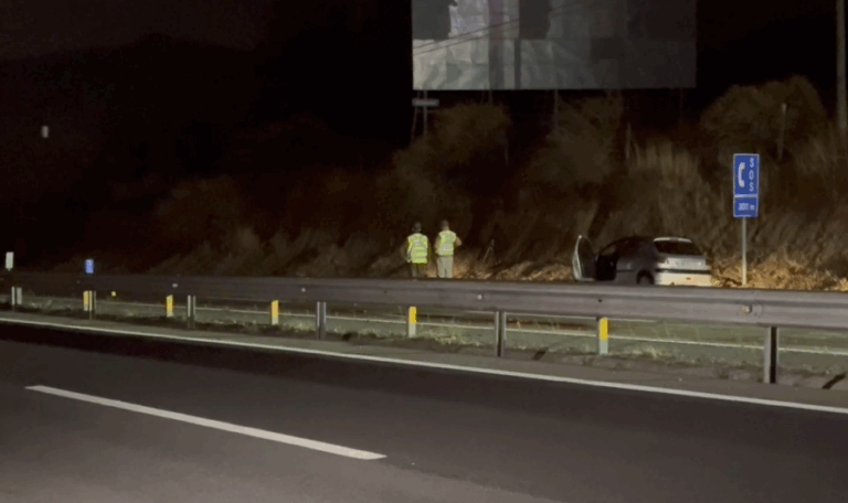 Mujer muere tras ser atropellada en la Ruta 68 en dirección a Santiago: Conductor quedó detenido