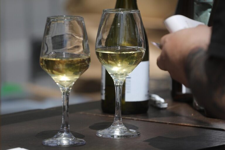 Expo Viñas Campesinas de Colchagua: ¿Cuándo es y qué artistas se presentarán?