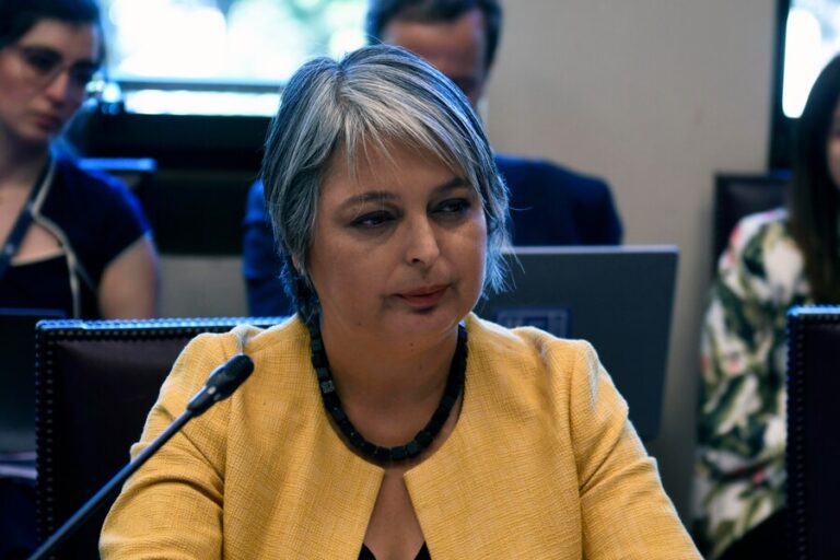 Jara cuestionó proyecto sobre contratación de migrantes irregulares: 