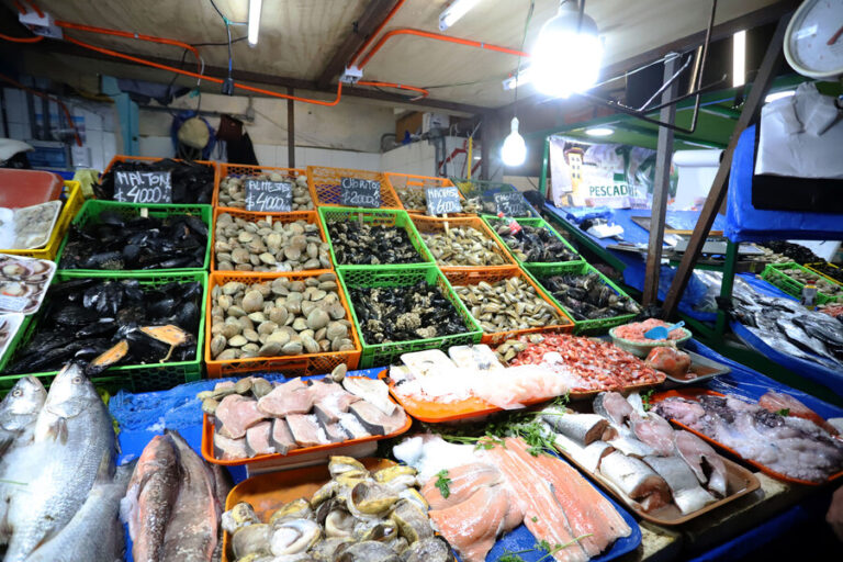 Nuevo estudio chileno revela relación entre el cambio climático y el sabor de los mariscos