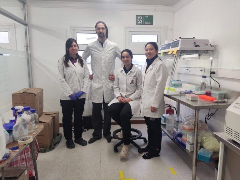 En la Antártica: Equipo chileno logra secuenciar por primera vez el genoma completo de la influenza aviar altamente patógena