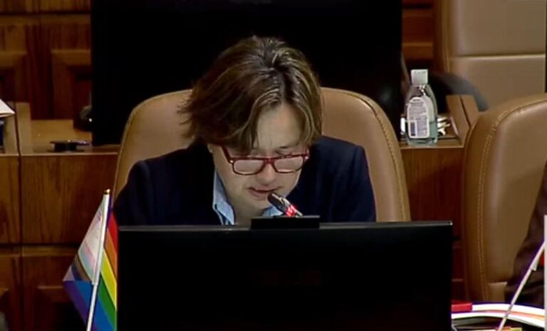 Diputada Marcela Riquelme se desmayó en plena sesión en la Cámara