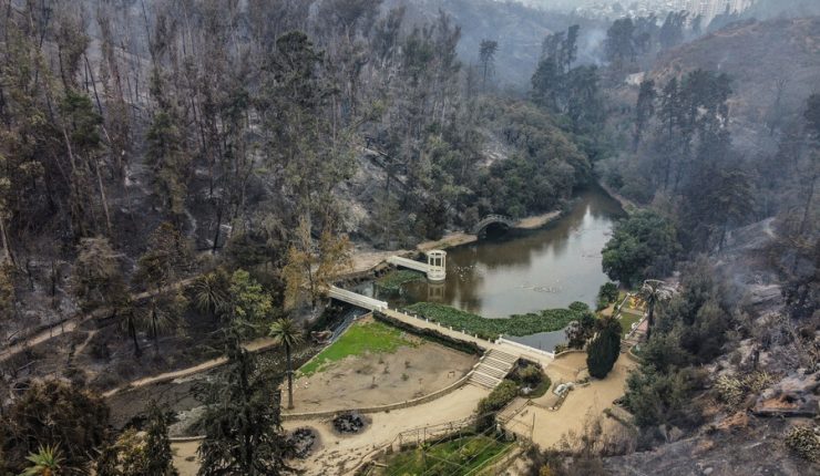 Anuncian proyecto para reconstruir el Jardín Botánico: Iniciativa contempla presupuesto de más de $2,4 mil millones