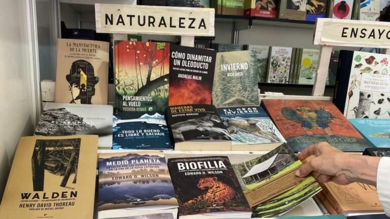 Autoayuda, ciencia y novelas juveniles: ¿Cuáles son los libros más leídos en Chile?
