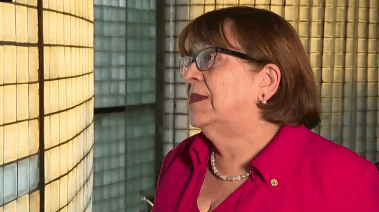 Rosa Oyarce afirmó que no le comunicaron que Isabel Plá sería la carta de Chile Vamos para Gobernación RM