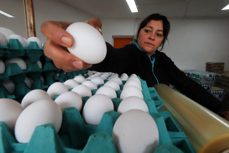 Ministro de Agricultura confirma que el precio de los huevos bajará antes de Fiestas Patrias