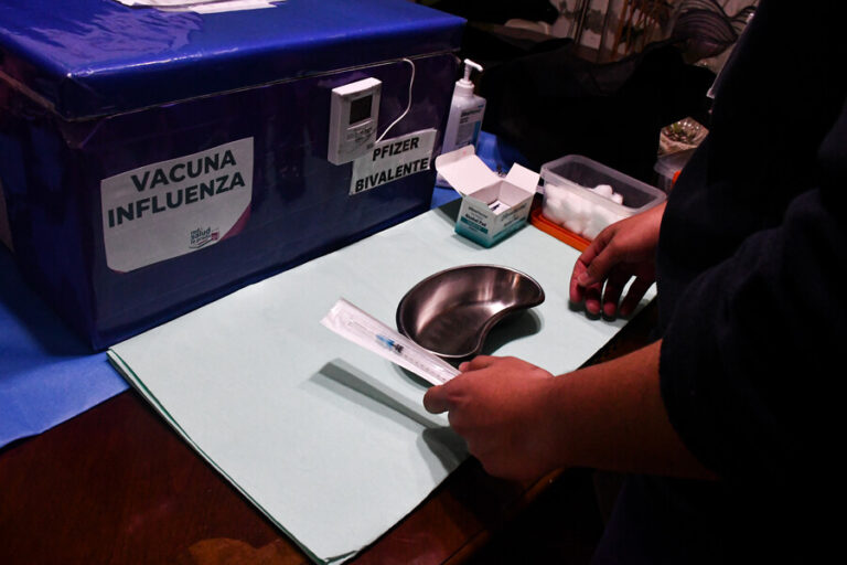 Fiscalía Regional de Ñuble investigará existencia de eventuales delitos tras muertes por influenza en la zona