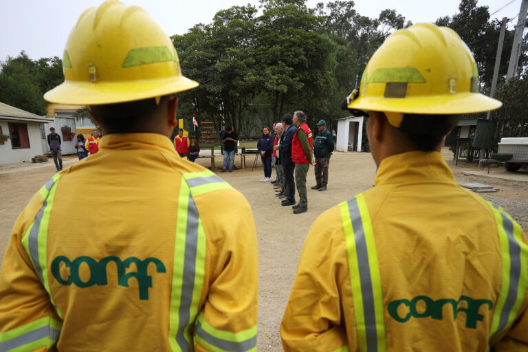 Detienen a segundo sospechoso por incendios en Valparaíso: Fiscalía confirma que es funcionario de Conaf