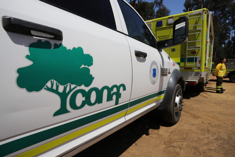 Roban oficinas de Conaf en Valparaíso: Habrían sustraído un computador y documentos