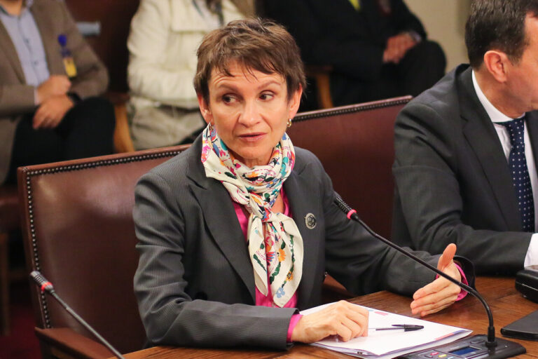 Ministra Tohá frente a comisión por megaincendio: 