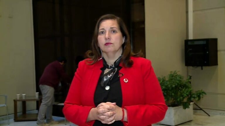 Presidenta del PS resta dramatismo a desmarques del partido en votación por Ley Corta de Isapres
