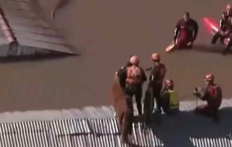Rescatan a caballo atrapado en un techo tras inundaciones en Brasil: Presidente Lula y su esposa manifestaron su emoción