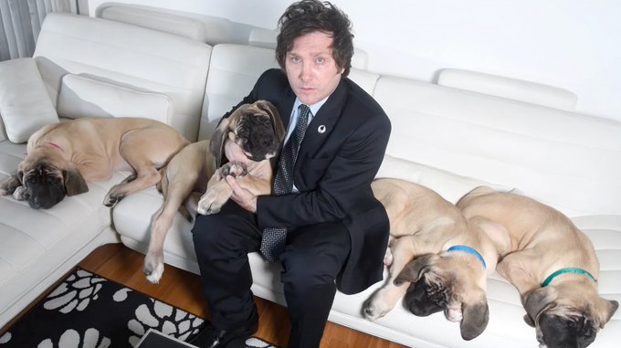 Así clonaron a Conan, el perro de Javier Milei