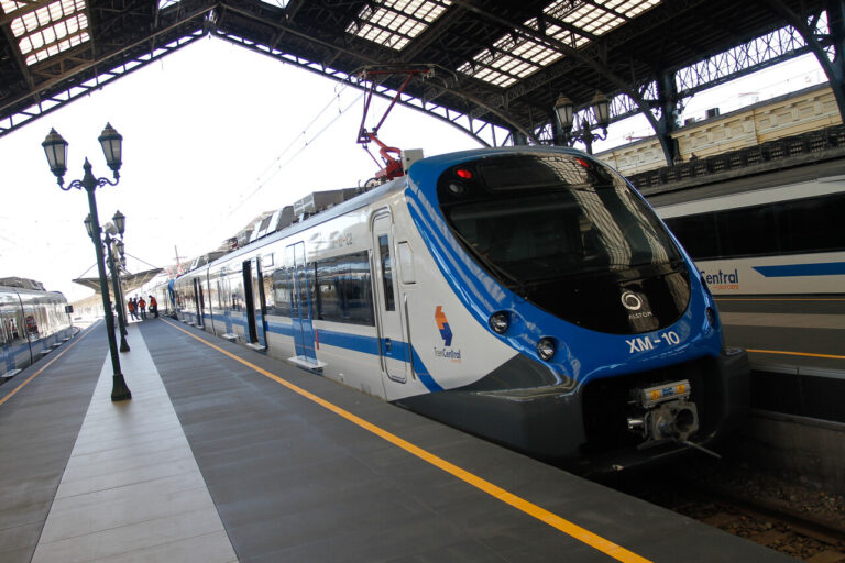 EFE suspende operaciones del servicio de trenes Nos-Alameda para este domingo 23 de junio