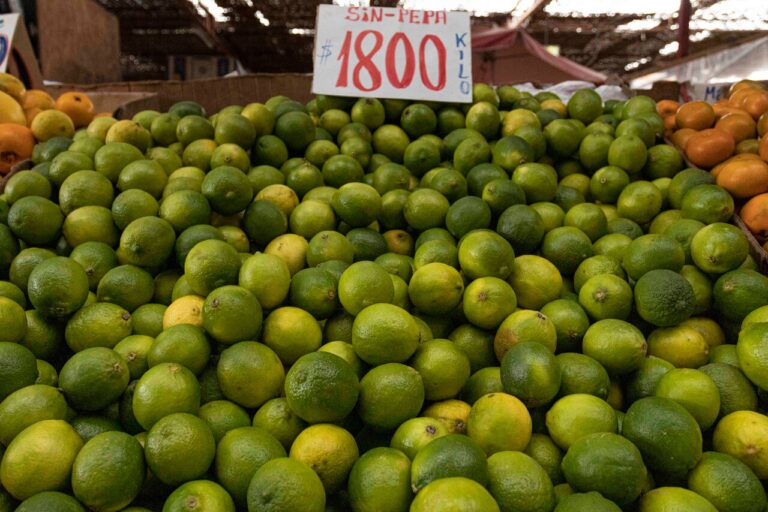 IPC de mayo presentó una variación mensual de 0,3%: Destaca alza del alimento para mascotas y la baja de los limones