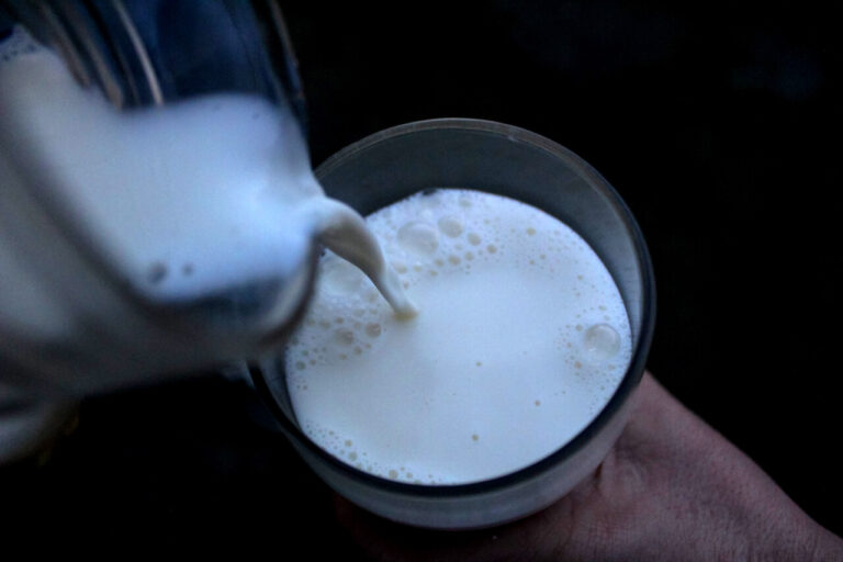 Alergia e intolerancia: ¿Cómo saber qué tipo de leche es mejor consumir?